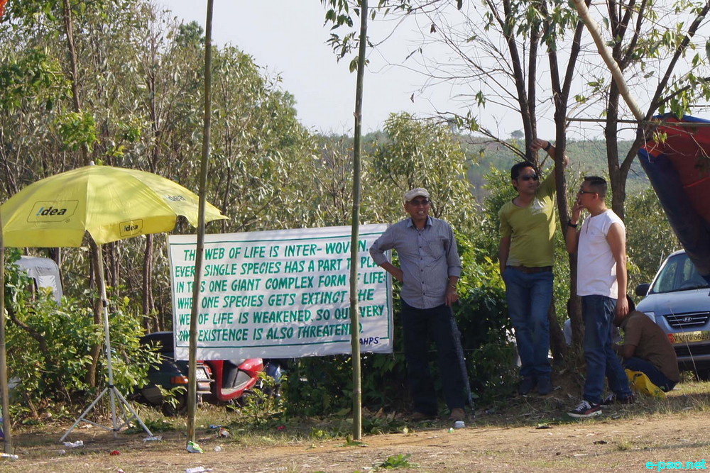 Where Have All The Flowers Gone?  Art and Music festival at South Loushing Hillock, Lamlai :: 3 May 2014