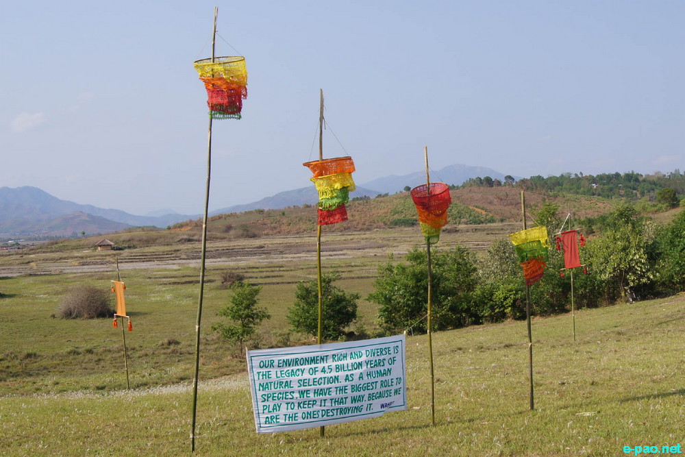 Where Have All The Flowers Gone?  Art and Music festival at South Loushing Hillock, Lamlai :: 3 May 2014