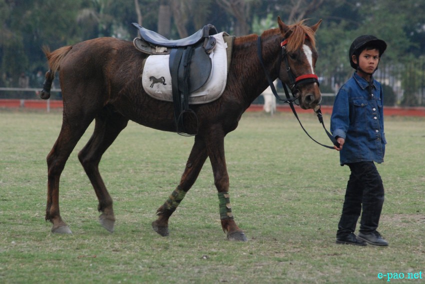 Manipuri Pony: A young boy tends to a Manipuri Pony used during the 24th Governor's Cup Invitation Polo Tournament and 13th Governor's Cup Women's Polo Tournament 2014 at Pologround(Mapal Kangjeibung) on March 4 2014  