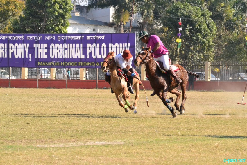 Manipuri Pony at 29th N Hazari and Dr N Tombi Singh State Polo Tournament held at Mapal Kangjeibung in Jan 2014 