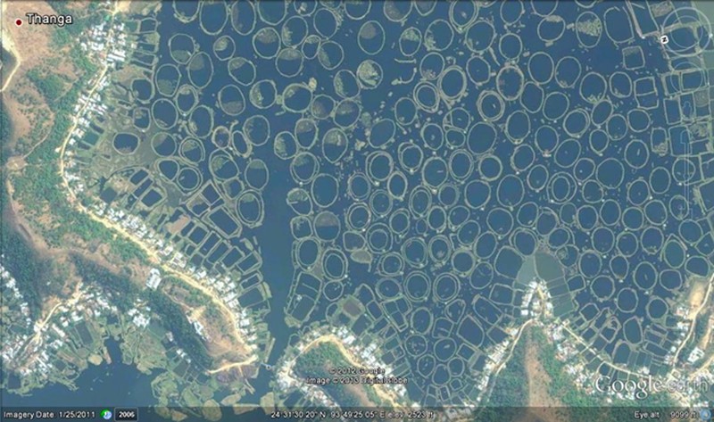 Loktak Lake as seen from Google Earth. The circular structures are man-made 'Athaphum' for rearing fishes