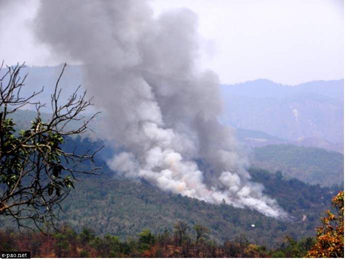 Illegal Burning of Forest near Khudengthabi :: Pix - Dr Oinam Sunanda Devi