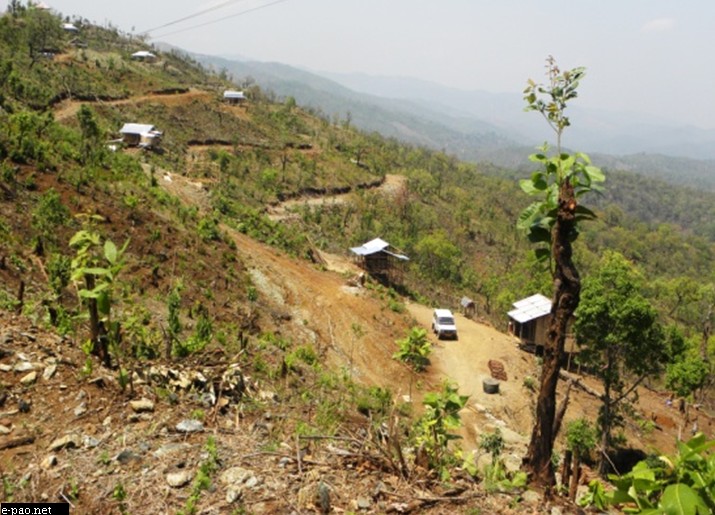Large scale logging & clearing of forests near Moreh