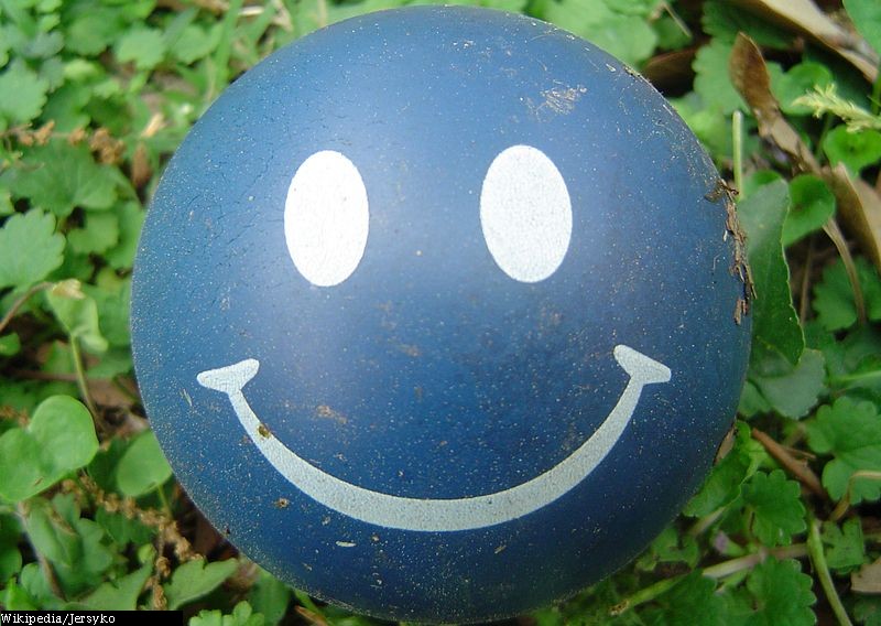 A cushioned ball with a smiley face9