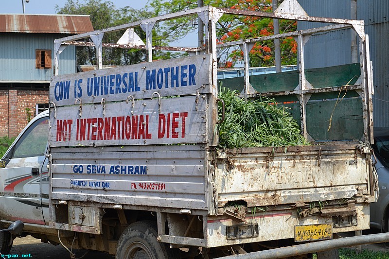 Cow Is Universal Mother Of Human Society' Not International Diet