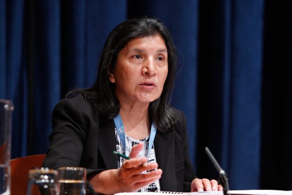 Ms. Rashida Manjoo, UN Special Rapporteur on violence against women, its causes and consequences (UNSRVAW)