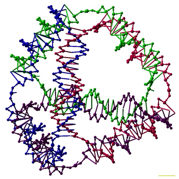 This is a model of the ligated version of a DNA tetrahedron with six 20bp edges, as described in Goodman, R.P.; Schaap, I.A.T.; Tardin, C.F.; Erben, C.M.; Berry, R.M.; Schmidt, C.F.; Turberfield, A.J. (9 December 2005) 