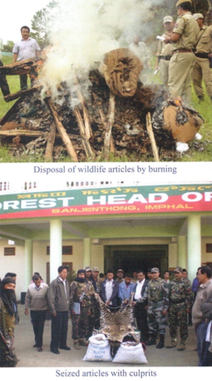 Disposal of Wildlife article by burning