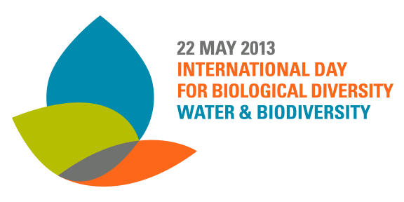 International Day for Biological Diversity : UN Logo
