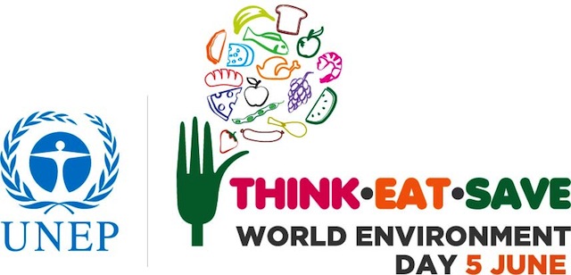 World Environment Day 2013 Think. Eat. Save