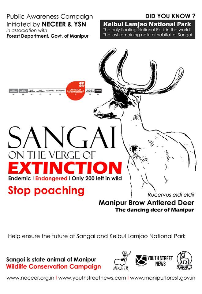 Campaign to conserve endangered Sangai Manipur Brow Antlered Deer 20131130