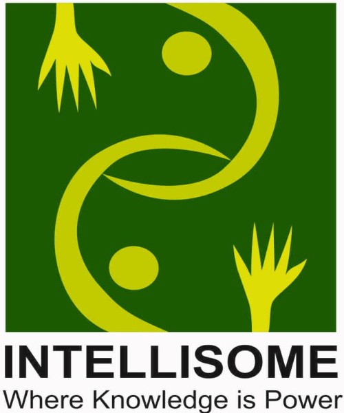 IKoSC logo (Intellisome Knowledge and Skills Centre) 
