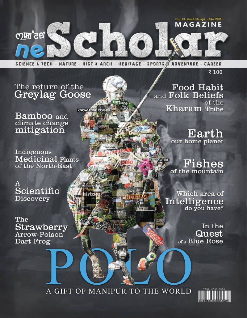 Third Issue cover of neScholar
