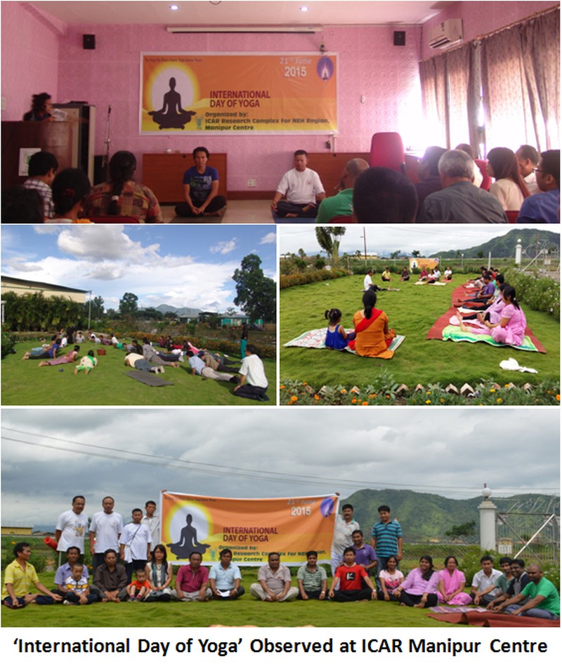  'International Day of Yoga' Observed at ICAR Manipur Centre  on 21st June 2015