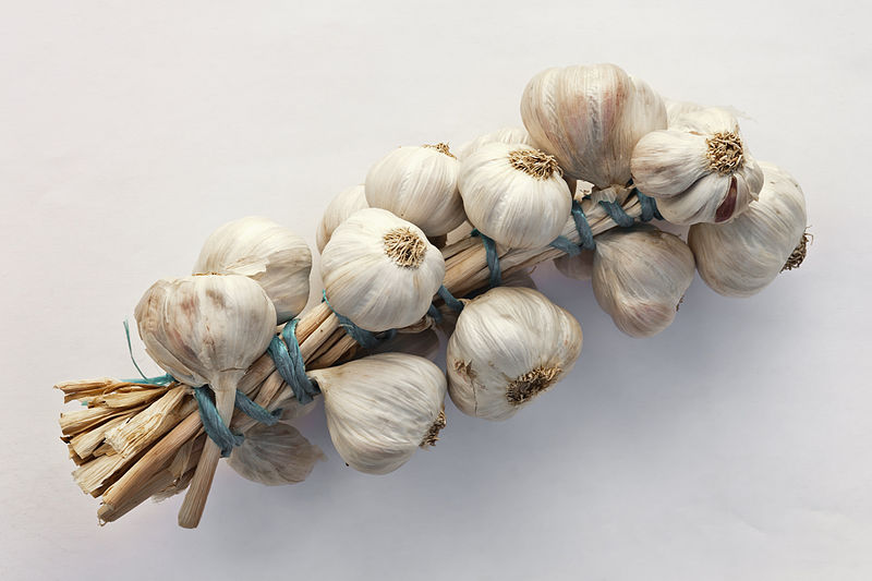 String of garlic, Oroso , Galicia, Spain