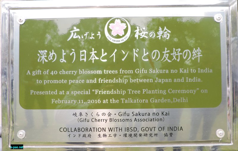 North East Cherry to blossom in Delhi with Japanese Collaboration