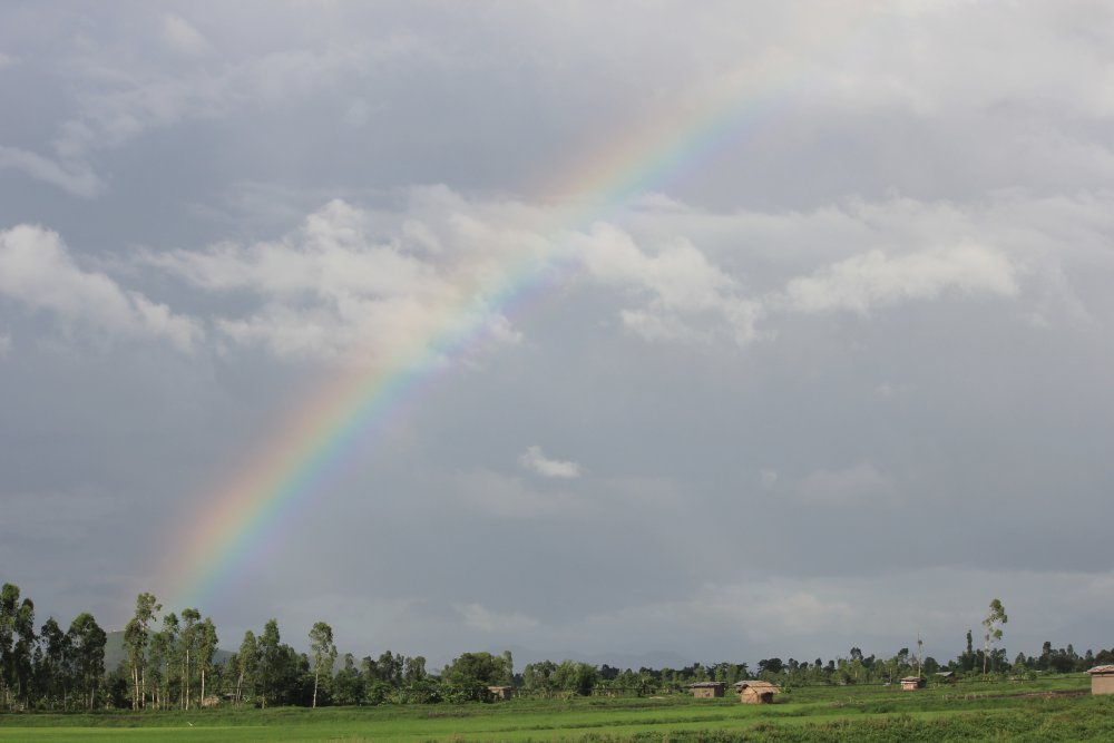A rainbow as seen in a paddy field over the Imphal Valley in December 2015