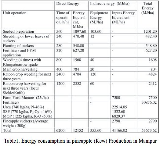 Energy requirement and cost economics for production of Pineapple in Manipur