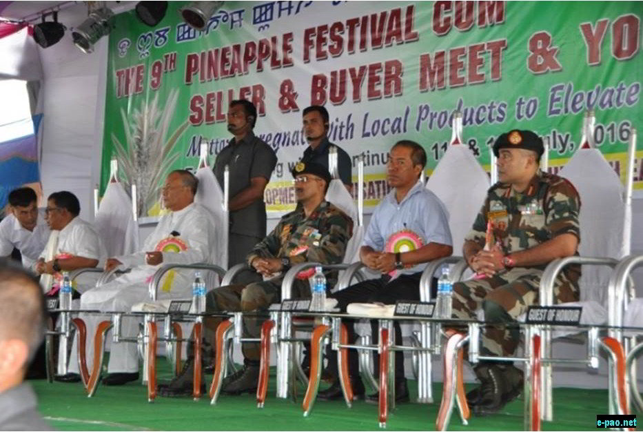 9th State Level Pineapple Festival Meet And Youth Festival 2016 