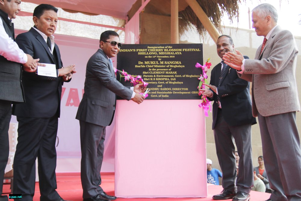 Dr Mukul M Sangma , CM of Meghalaya, inaugurating India's First Cherry Blossom Festival at Shillong, in presence of Clement Marak, Minister ,Forests and Environment , KS Kropha IAS, Chief Secretary Meghalaya and Prof Dinabandhu Sahoo, Director IBSD