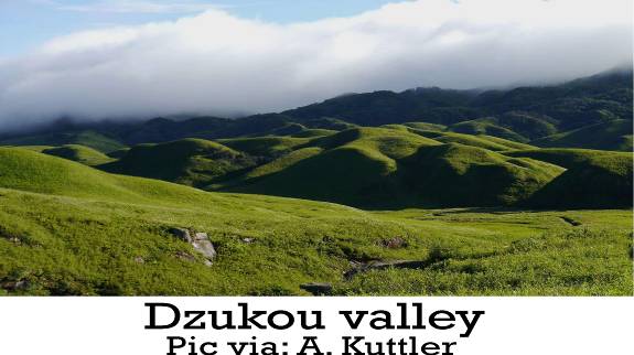 Dzuko Valley