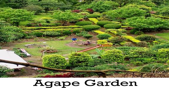 Agape Garden