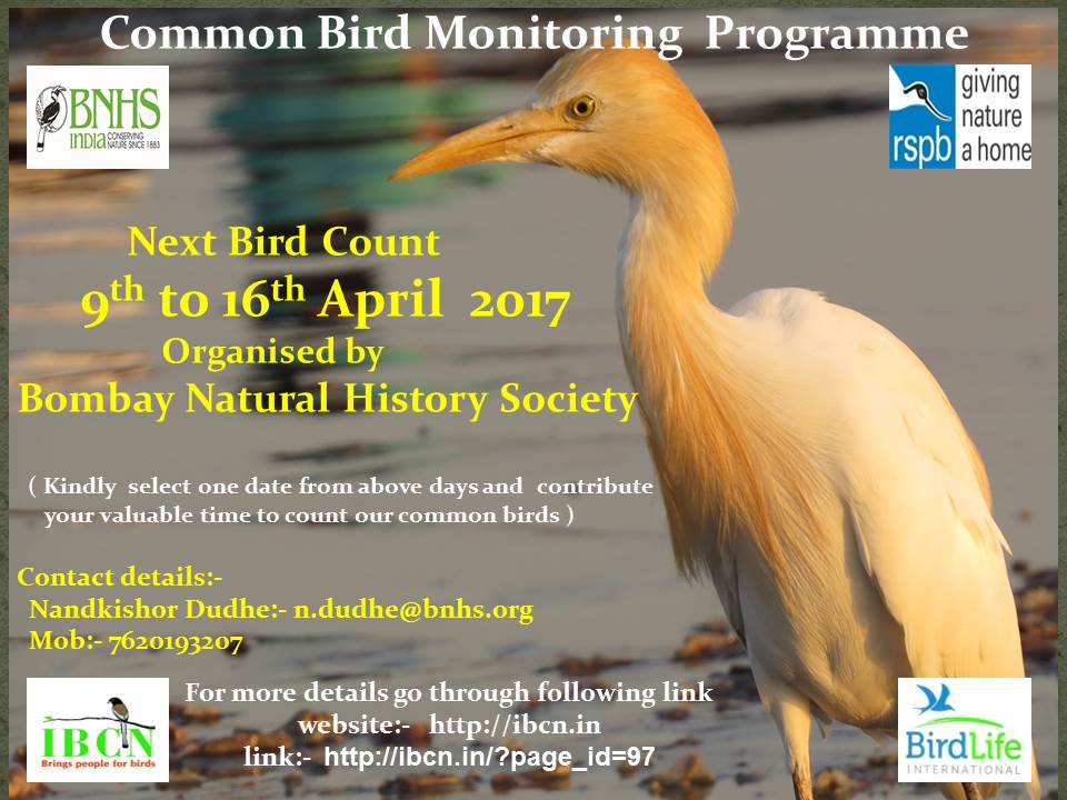 BNHS announces third common bird count