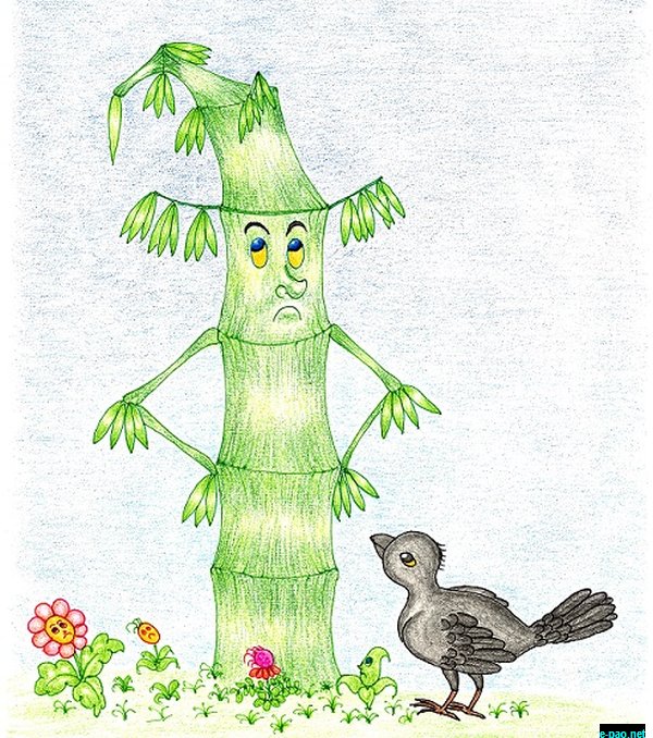 An illustration for 'The Proud Bamboo Tree  ' 