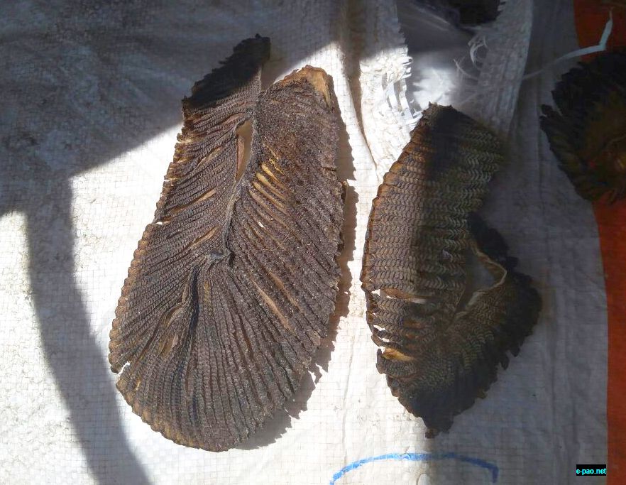 Seizure of Dried Fish Grenet (Tirkiya) Fish Gills