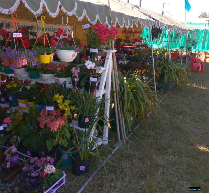 Five day 'Flower Show' at Ukhrul