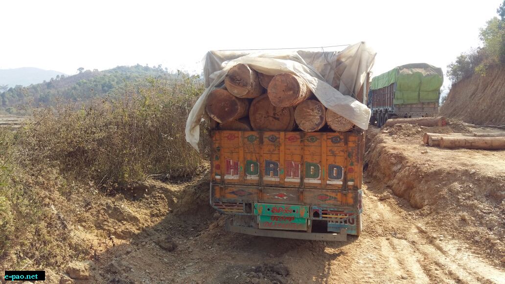 Illegal timber smuggling curbed