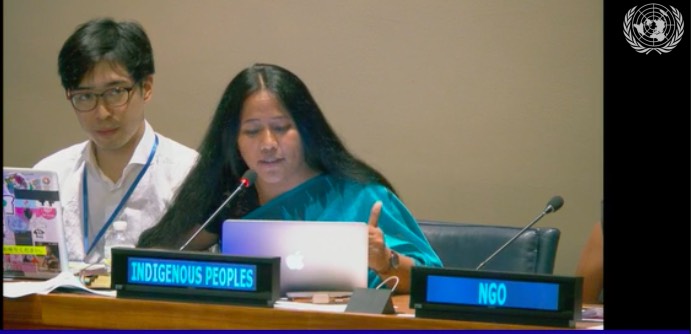 Binalakshmi Nepram at the United Nations High Level Political Forum  at New York on 9-18 July 2018 