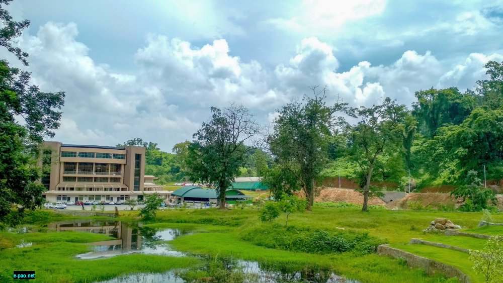  Tapesia  - the Village Green situated in Guwahati  