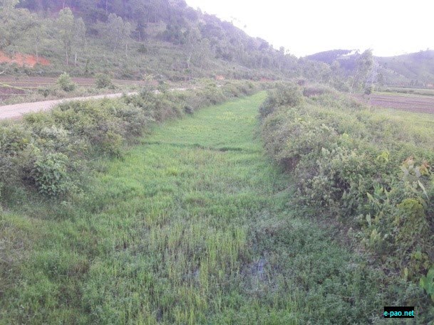  The long stretch of weedy cover canal lying defunct, when it was expected to supply irrigation water, during peak season June, 2018 (Icham Khunou) 