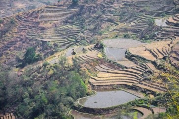  A view of traditional terrace farming in Liiyai Khullen   