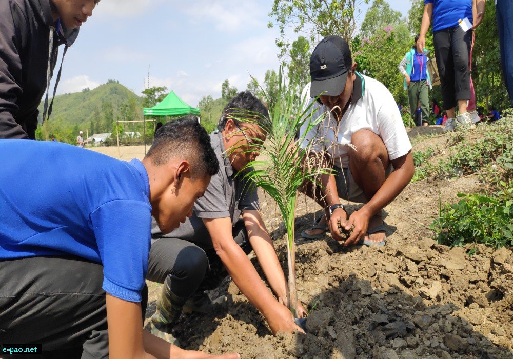 World Environment Day, 2019 at school campus of The Ideal Academy, Kumbi :: 5th June, 2019