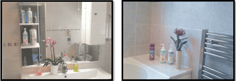  Orchids in author's shower room & bathroom with filtered bright light 