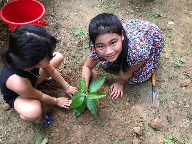  Licypriya urges everyone to plant a tree on 2nd October on her birthday 