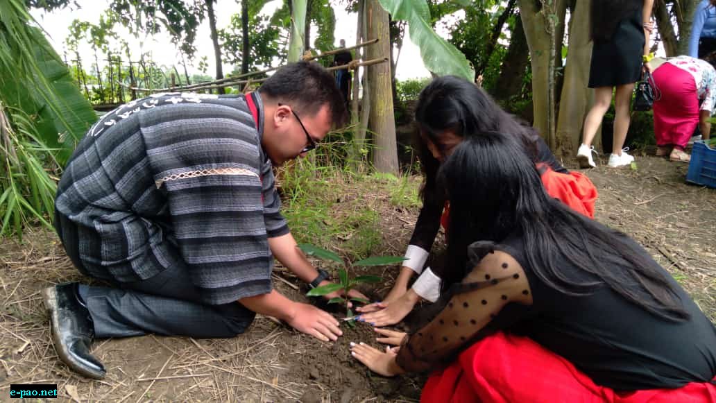 1st Offline WCCM General Body Meeting / Tree Plantation in commemoration of World Folklore Day 