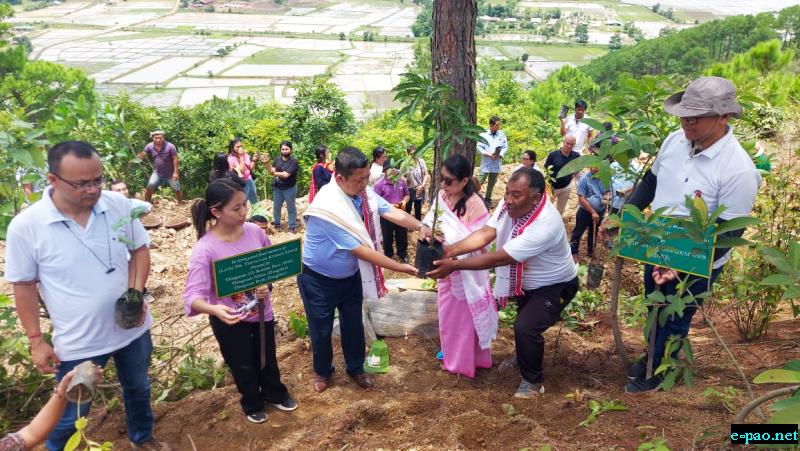 100 Trees Planted in memory of Late SDO Dr Thingnam Kishan