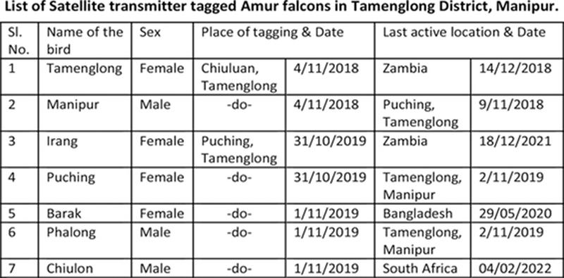  Need for further research and monitoring of Amur Falcon in Tamenglong District 