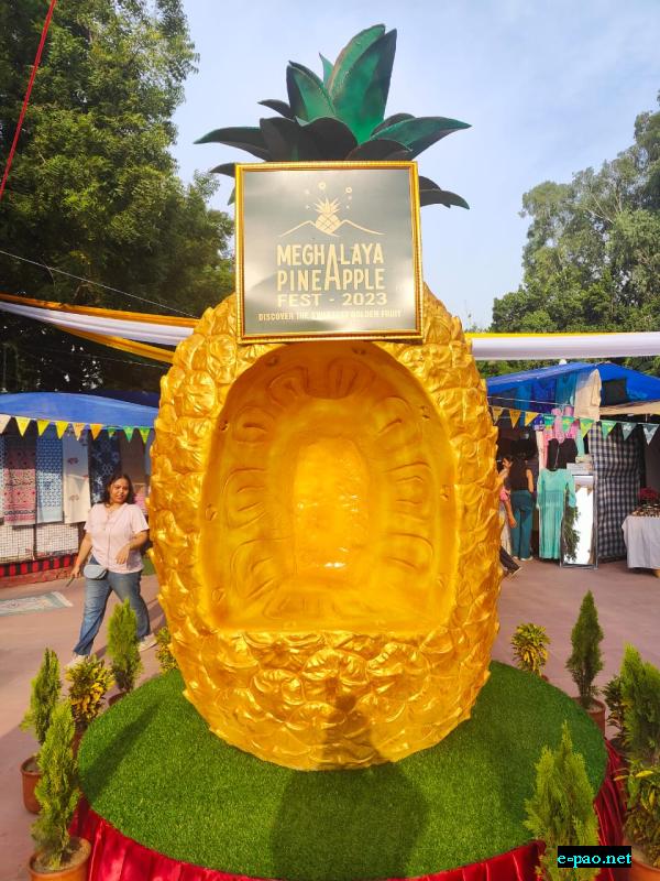   Meghalaya Pineapple Festival inaugurated in New Delhi 