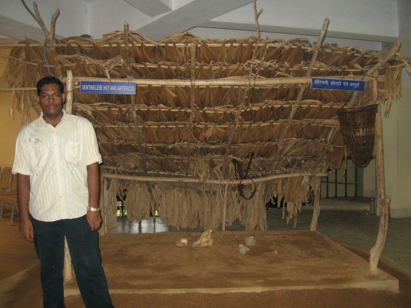  Hut model of Sentinelese 