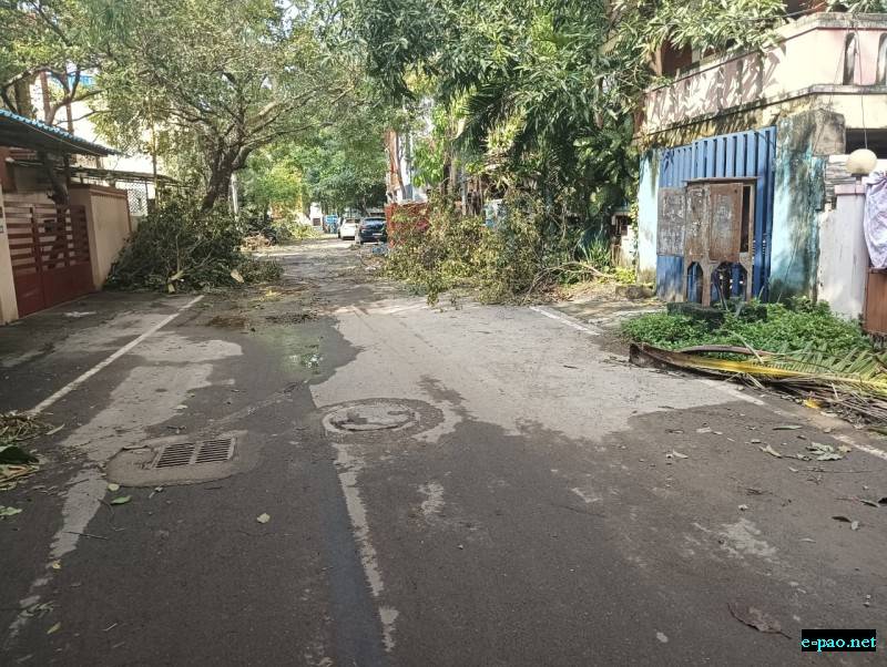  2. Our street three days after cyclone, with broen branches 