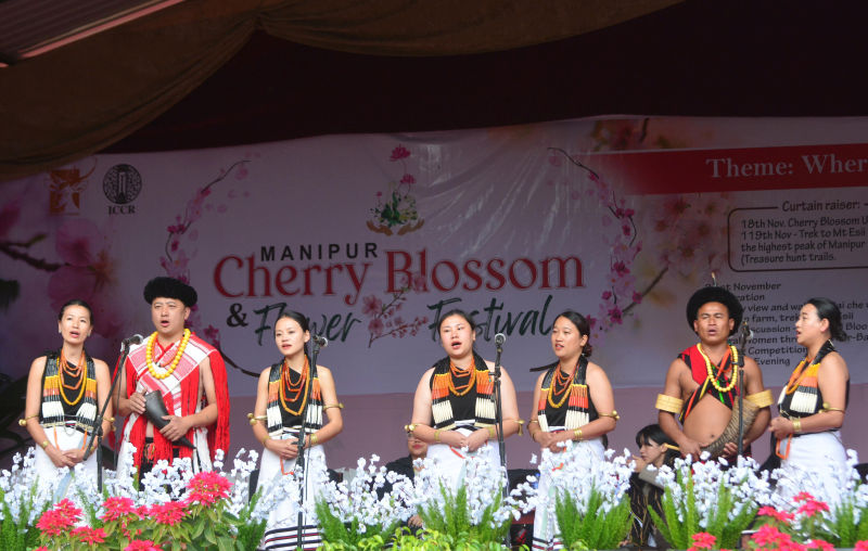 Manipur Cherry Blossom and Flower Festival at Motu Tubvii, Mao Gate :: 21st November 2025