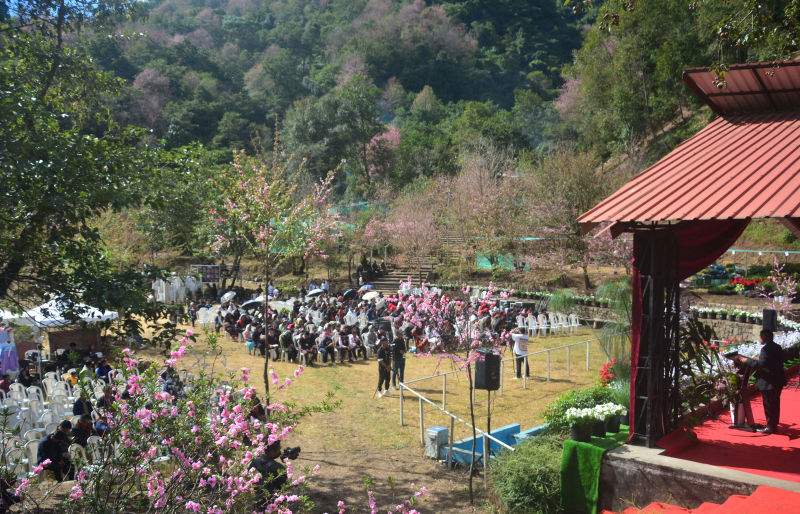 Manipur Cherry Blossom and Flower Festival at Motu Tubvii, Mao Gate :: 21st November 2025