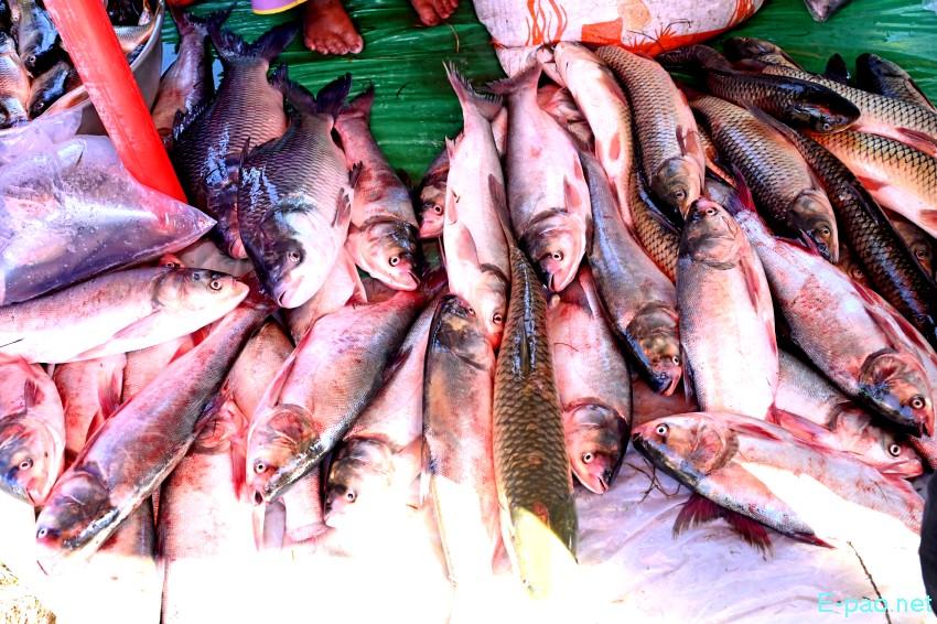 Ningol Chakkouba : Annual Fish Fair / Fish Crop Competition at Hapta Kangjeibung :: 22nd October 2025