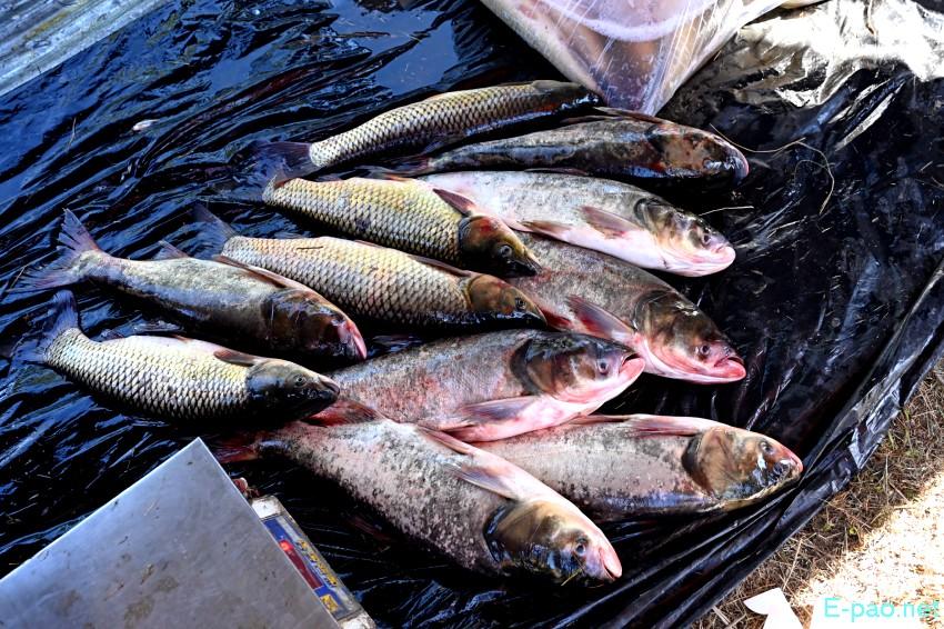 Ningol Chakkouba : Annual Fish Fair / Fish Crop Competition at Hapta Kangjeibung :: 22nd October 2025