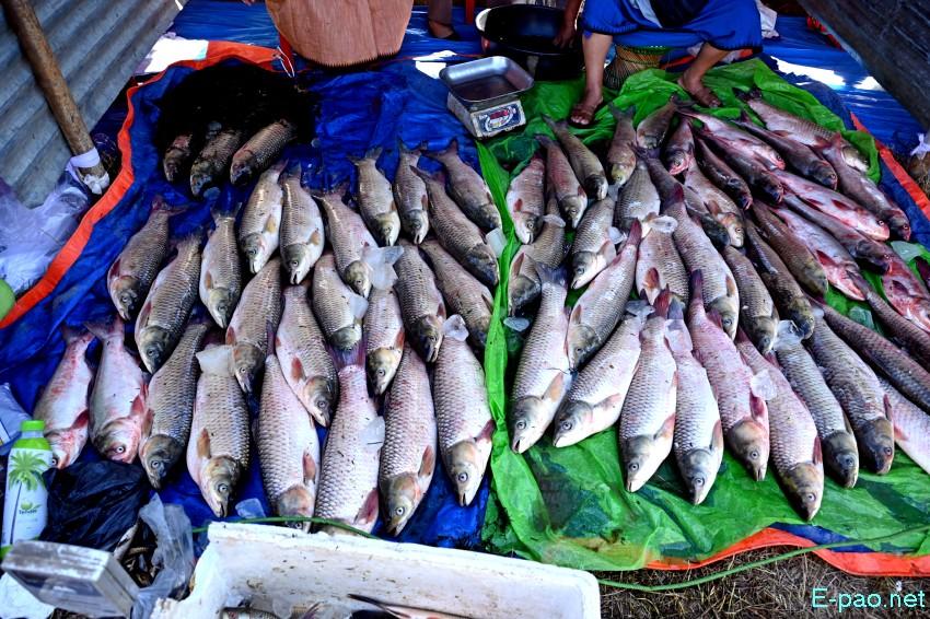 Ningol Chakkouba : Annual Fish Fair / Fish Crop Competition at Hapta Kangjeibung :: 22nd October 2025