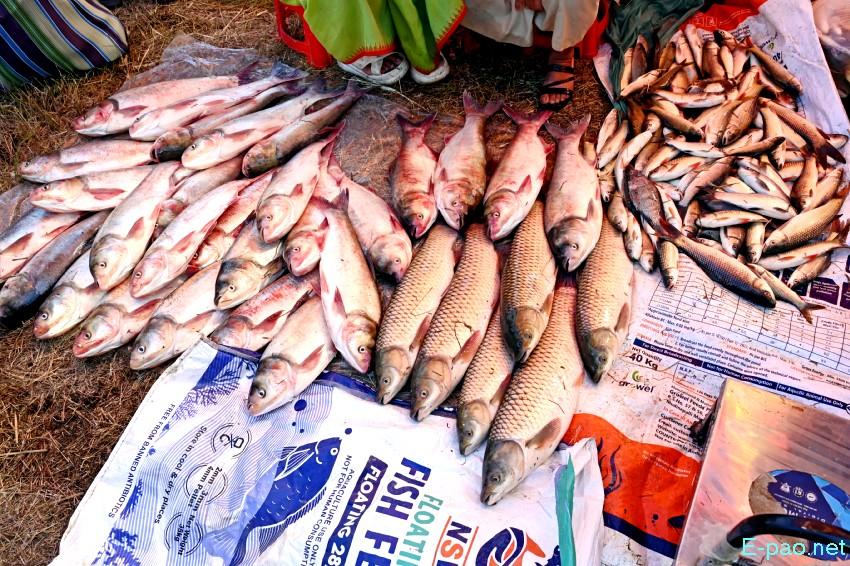Ningol Chakkouba : Annual Fish Fair / Fish Crop Competition at Hapta Kangjeibung :: 22nd October 2025